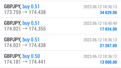 マイトレFX 6月